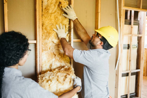 Best Insulation Contractor Near Me  in West Babylon, NY